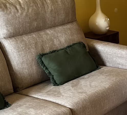 Lúcia Monteiro da Silva, Psicóloga Clínica